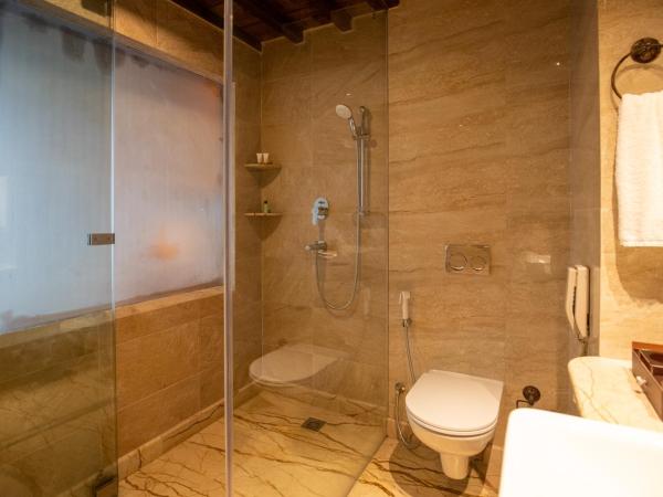 Basera Boutique Hotel : photo 3 de la chambre chambre deluxe supérieure heritage - navette gratuite depuis l'aéroport, 10 % de réduction sur la nourriture et les boissons, 10 % de réduction sur le spa