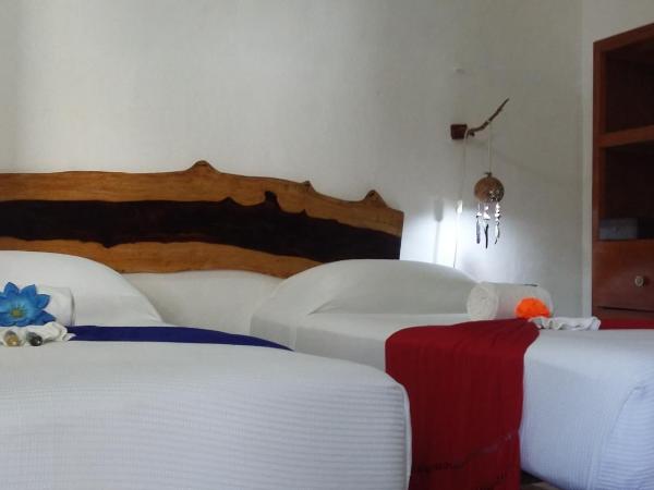 Pacha Tulum : photo 6 de la chambre chambre lit king-size ou lits jumeaux
