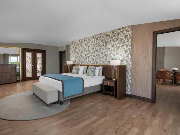 Papillon Ayscha Resort & Spa : photo 1 de la chambre suite lit king-size