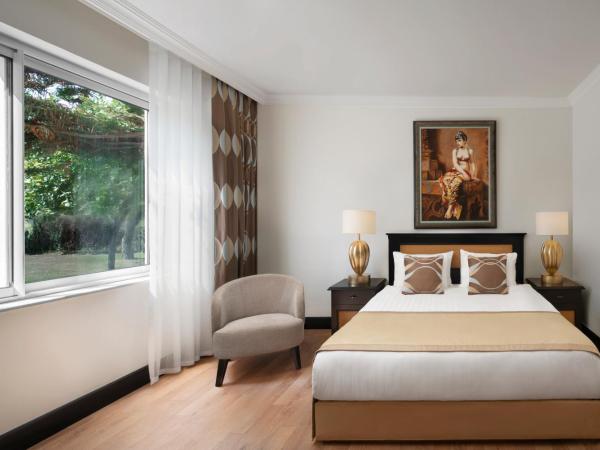 Papillon Ayscha Resort & Spa : photo 3 de la chambre villa président