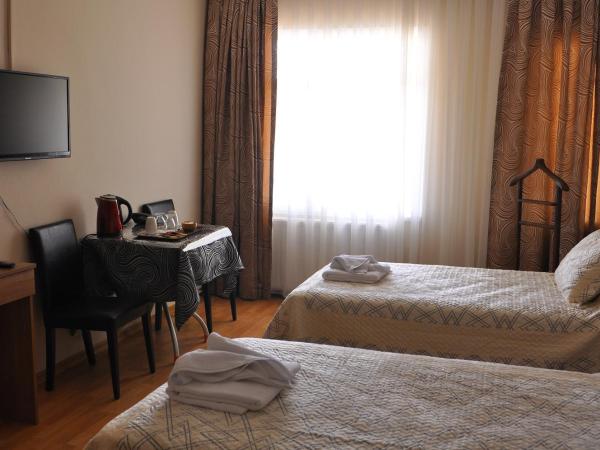 Emsa Otel Maltepedeki Eviniz : photo 7 de la chambre chambre lits jumeaux standard avec balcon