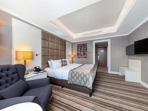 Dedeman Bostanci Istanbul Hotel & Convention Center : photo 4 de la chambre chambre supérieure - vue sur ville