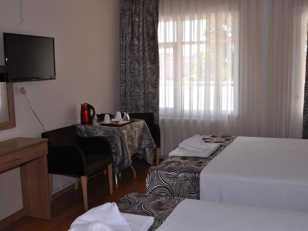 Emsa Otel Maltepedeki Eviniz : photo 8 de la chambre chambre lits jumeaux standard avec balcon