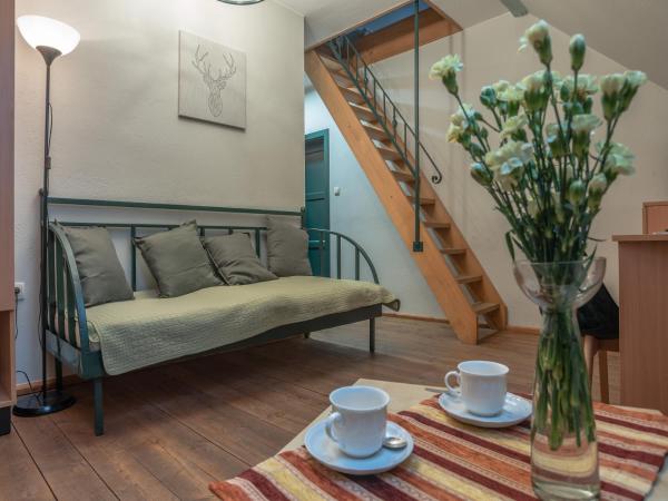 Dom Potok : photo 6 de la chambre studio duplex