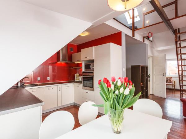 Hotel Czarna Róża : photo 1 de la chambre suite en duplex