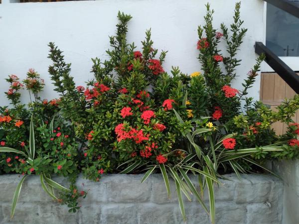 Pousada Terra de Minas : photo 3 de la chambre chambre triple
