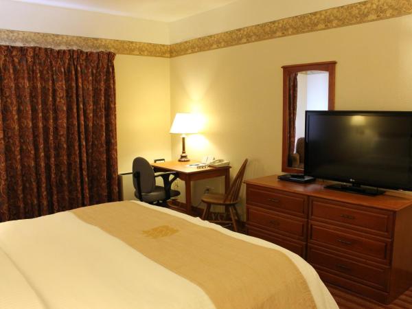 Coastal Inn Halifax - Bayers Lake : photo 4 de la chambre chambre lit king-size