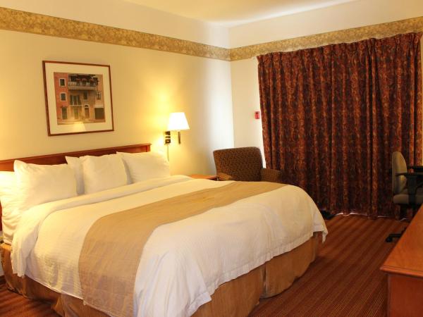 Coastal Inn Halifax - Bayers Lake : photo 3 de la chambre chambre lit king-size