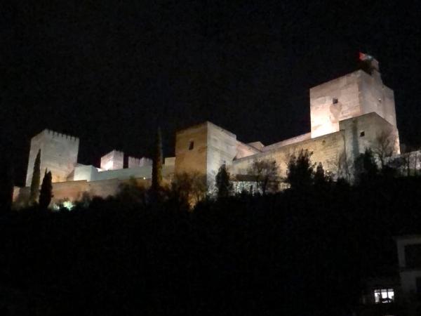 Hotel Rosa De oro : photo 4 de la chambre chambre simple