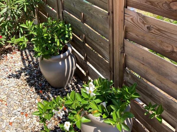 Lone Star House : photo 10 de la chambre chambre double avec terrasse-jardin 