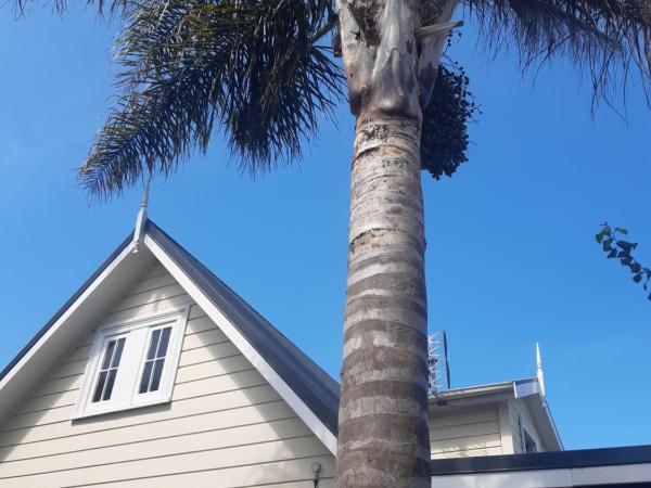 Harbour View Cottage : photo 8 de la chambre bungalow - vue sur jardin