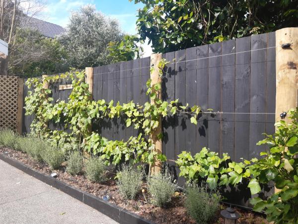 Harbour View Cottage : photo 9 de la chambre bungalow - vue sur jardin