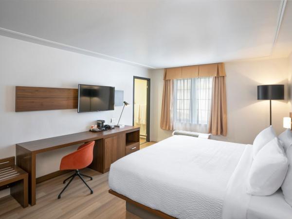Quality Inn : photo 2 de la chambre chambre lit king-size standard - non-fumeurs / pas d'animaux domestiques
