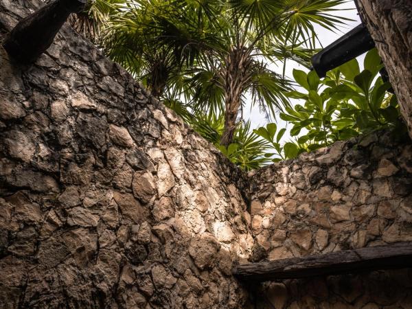 Playa Esperanza Tulum : photo 2 de la chambre chambre double - vue sur jardin