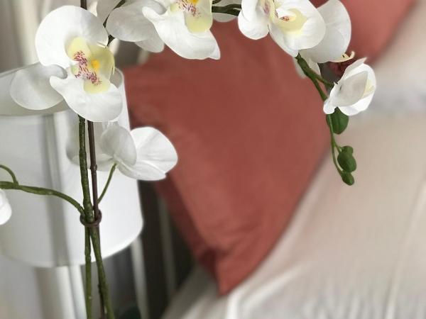 Il Tempio di Athena - Cultura e Relax a Siracusa : photo 3 de la chambre chambre deluxe