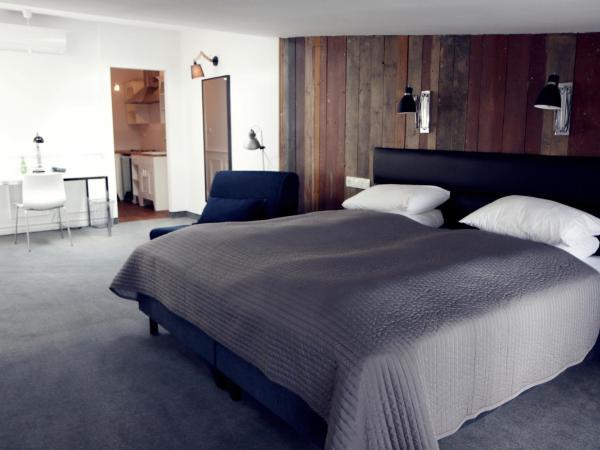 Hotel Grodzka 20 : photo 6 de la chambre studio