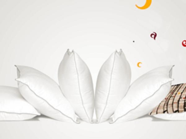 Ace Hotel Annecy : photo 4 de la chambre chambre lits jumeaux