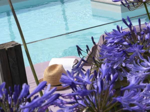 Villa Mané Lann Maison d'hôtes & spa : photo 2 de la chambre appartement - vue sur piscine