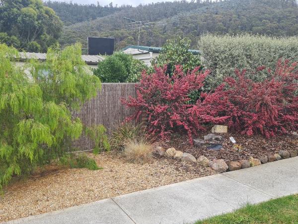 Discovery Parks - Mornington Hobart : photo 2 de la chambre economy studio cabin - sleeps 6