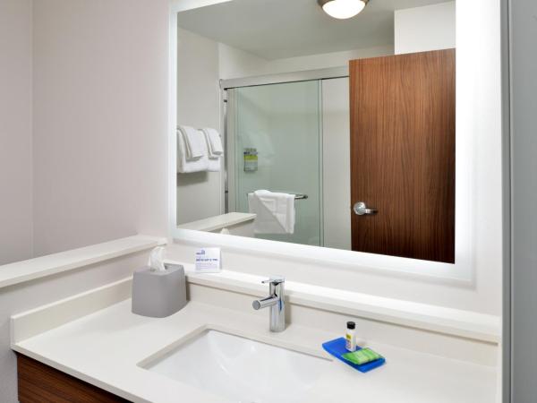 Holiday Inn Express Orlando - South Park, an IHG Hotel : photo 1 de la chambre chambre lit king-size standard - non-fumeurs 