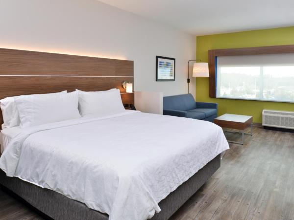 Holiday Inn Express Orlando - South Park, an IHG Hotel : photo 4 de la chambre suite lit king-size – non-fumeurs