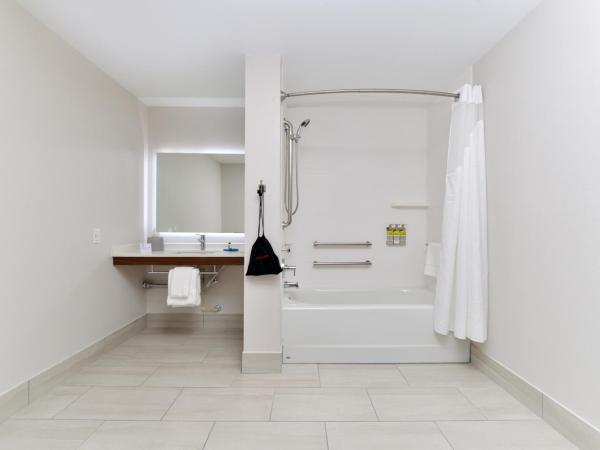 Holiday Inn Express Orlando - South Park, an IHG Hotel : photo 5 de la chambre chambre lit king-size standard avec douche accessible en fauteuil roulant