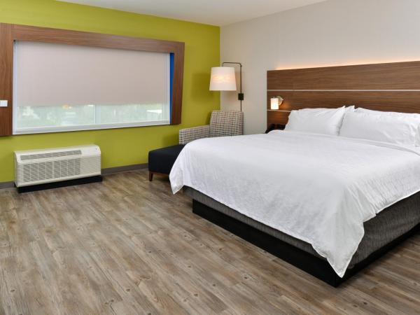 Holiday Inn Express Orlando - South Park, an IHG Hotel : photo 5 de la chambre chambre lit king-size standard - non-fumeurs 