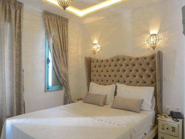 Dar Hammamet Guest House & Hammam : photo 9 de la chambre chambre double deluxe avec douche