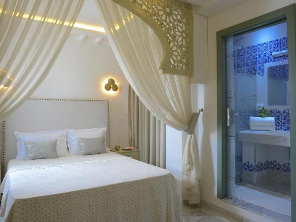 Dar Hammamet Guest House & Hammam : photo 7 de la chambre chambre double deluxe avec douche