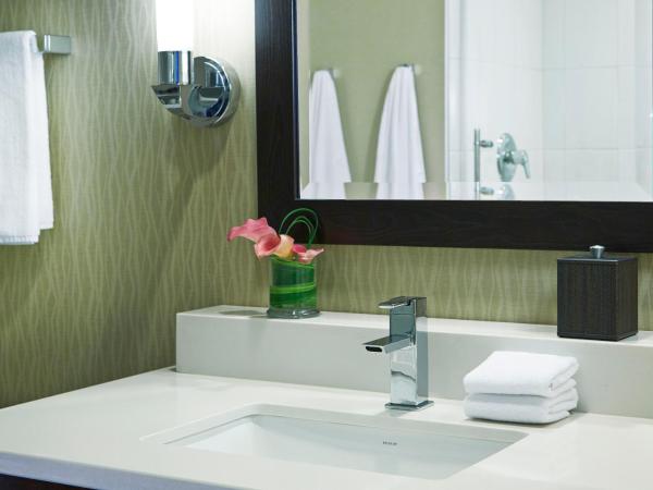 Hyatt Regency Atlanta Perimeter at Villa Christina : photo 4 de la chambre chambre lit king-size exécutive