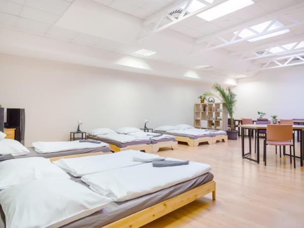 Internesto Brno : photo 9 de la chambre studio