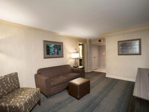 Holiday Inn Columbus Dwtn-Capitol Square, an IHG Hotel : photo 8 de la chambre suite 1 chambre lit king-size
