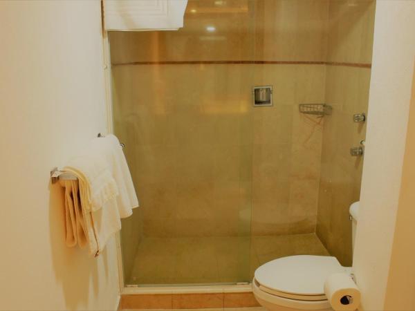 Condesa Suites : photo 5 de la chambre suite exécutive