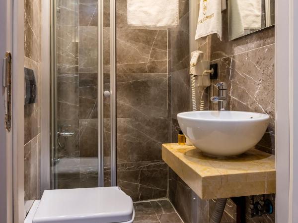 Golden Gate Hotel Topkapı : photo 6 de la chambre chambre simple