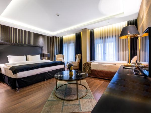 Golden Gate Hotel Topkapı : photo 4 de la chambre suite lit king-size