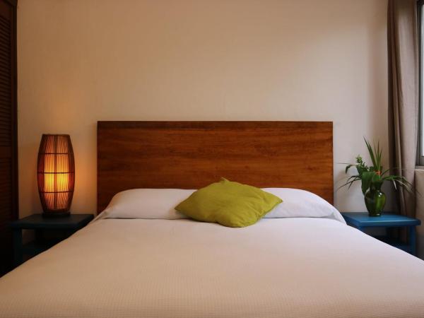 Hotel Villas Colibrí Suites & Bungalows : photo 3 de la chambre suite lit queen-size