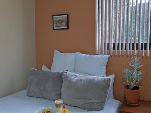 Hotel Express Quinta Soledad : photo 1 de la chambre chambre double