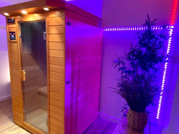 COSY & SPA Appartement Luxe JACUZZI SAUNA Suite Cristal : photo 8 de la chambre suite avec jacuzzi