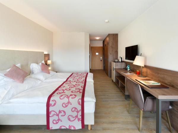 Hôtel des Vignes : photo 4 de la chambre chambre double ou lits jumeaux deluxe – vue sur jardin