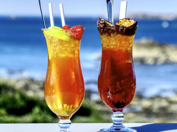 Emeria Dinard Thalasso Spa : photo 6 de la chambre cottage classique avec balcon ou terrasse privés