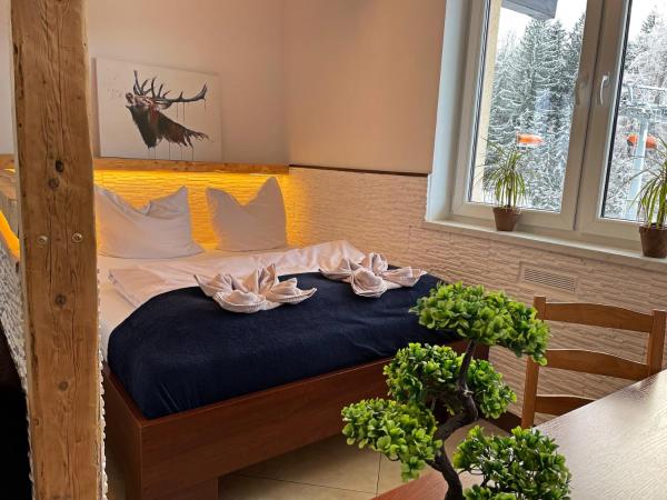 Safir przy samym WYCIĄGU : photo 4 de la chambre appartement avec vue sur la montagne