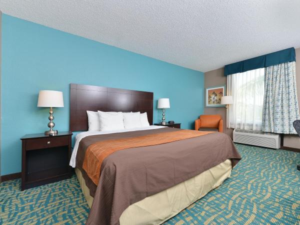 Comfort Inn & Suites Fort Lauderdale West Turnpike : photo 6 de la chambre chambre lit king-size - non-fumeurs