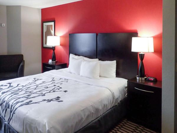 Sleep Inn & Suites BWI Airport : photo 2 de la chambre chambre lit king-size - non-fumeurs