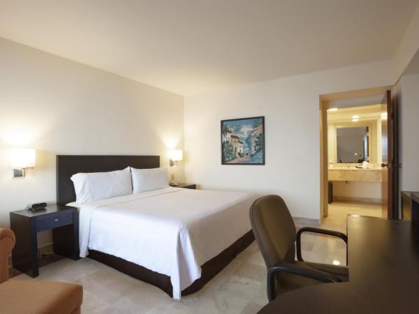 Fiesta Inn Veracruz Boca Del Rio : photo 1 de la chambre chambre lit king-size supérieure