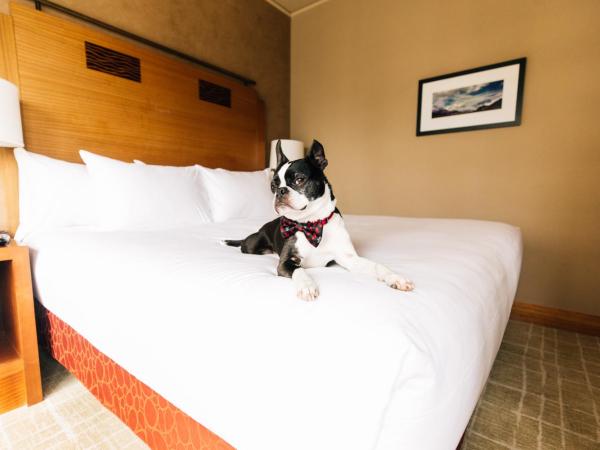 Grand Hyatt Seattle : photo 5 de la chambre chambre lit king-size avec baignoire accessible aux personnes à mobilité réduite