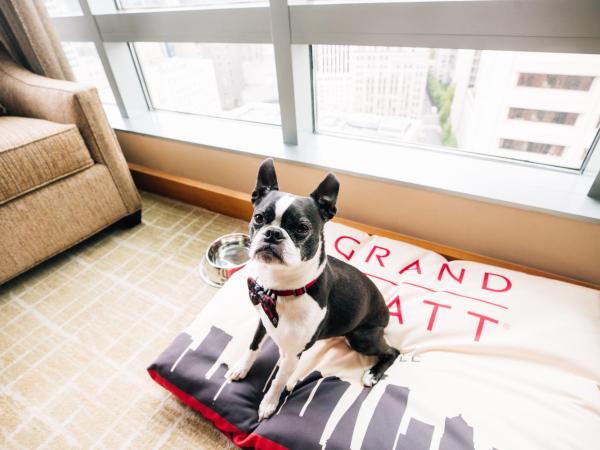 Grand Hyatt Seattle : photo 5 de la chambre chambre lit king-size pour personnes à mobilité réduite avec douche accessible aux personnes à mobilité réduite