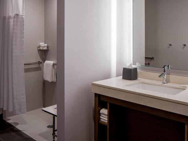 Hyatt House Tampa Downtown : photo 3 de la chambre king studio suite with sofa bed, kitchen and roll-in shower - disability access