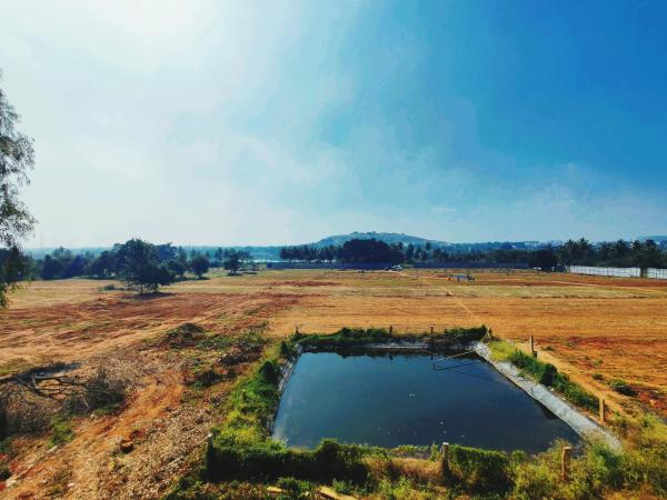 Hotel Airport City : photo 10 de la chambre chambre double