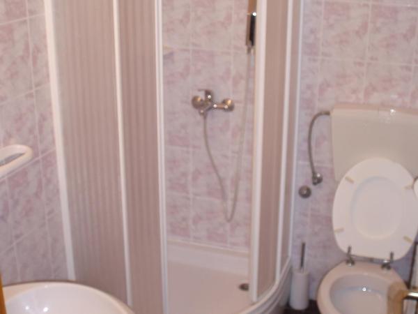 Apartments and Rooms Irena : photo 6 de la chambre chambre double avec terrasse