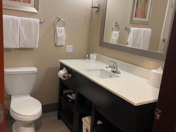 Comfort Suites Houston West at Clay Road : photo 3 de la chambre suite lit king-size - accessible aux personnes à mobilité réduite - non-fumeurs